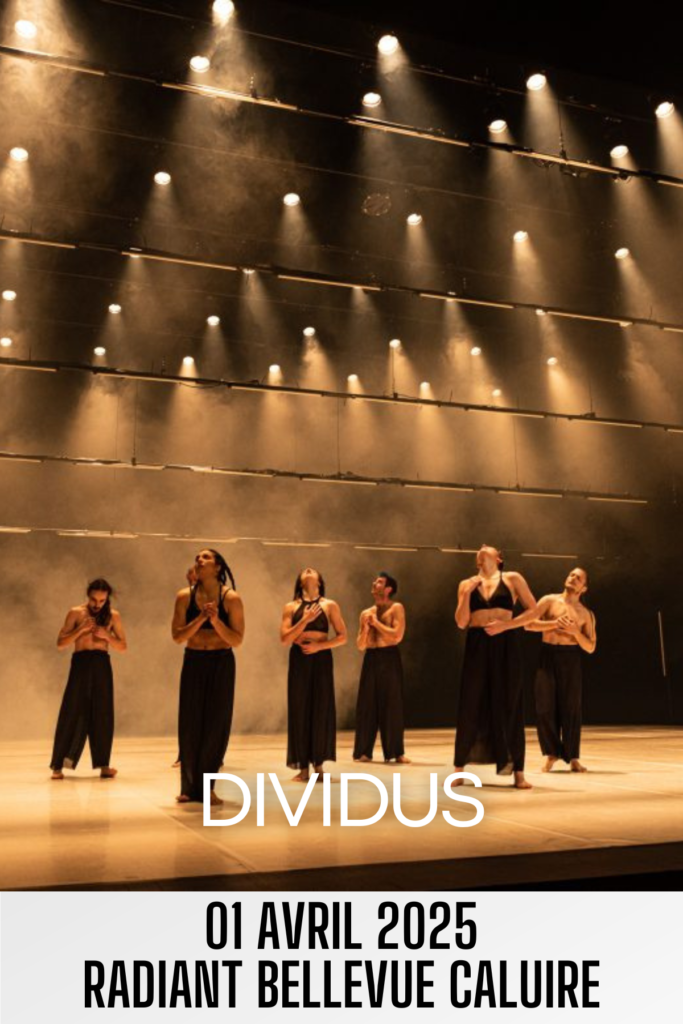 dividus-caluire