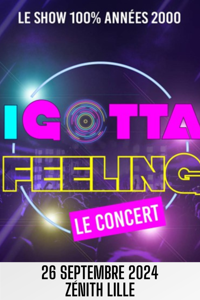 i-gotta-feeling-lille-1